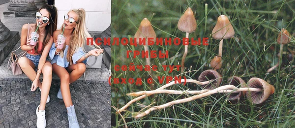 дмт Алексеевка