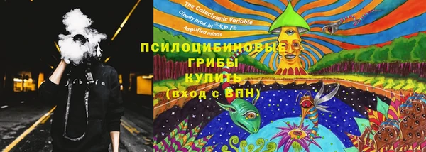 дмт Алексеевка