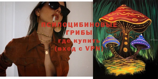 винт Алексин