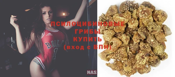 дмт Алексеевка